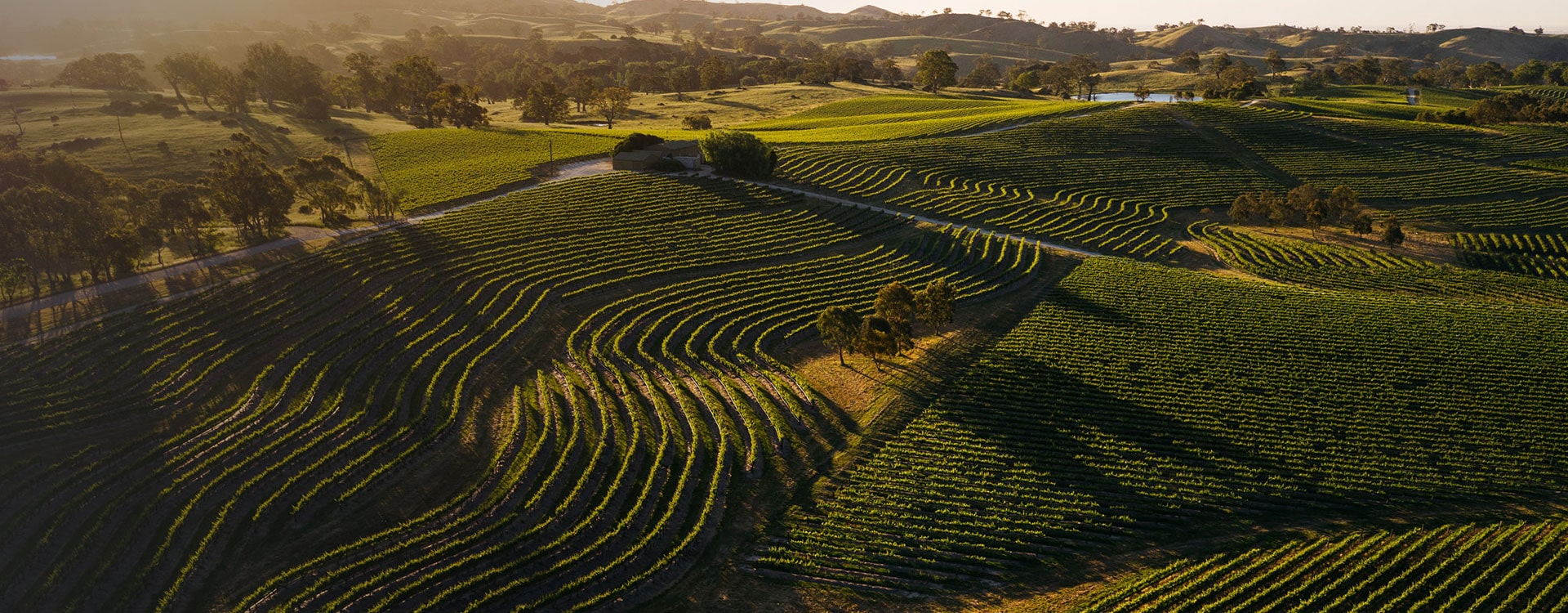 https://www.vinocorpperu.com/images/bodegas/yalumba/Eden Valley-min.jpg